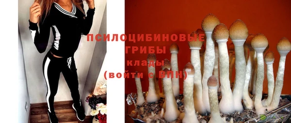 марки nbome Козельск