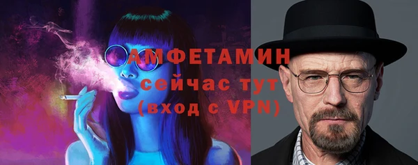 амф Козловка