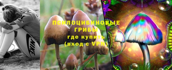 мдма Кодинск