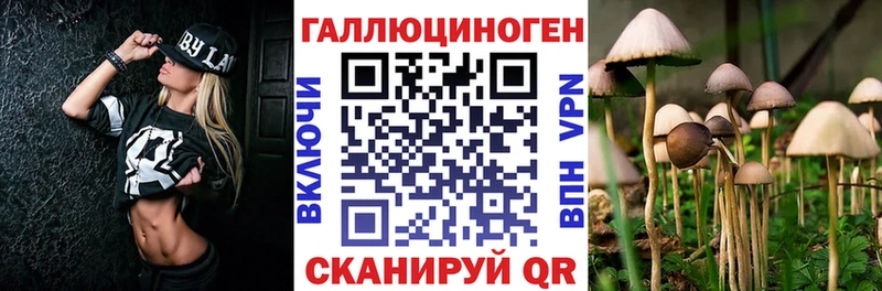 Псилоцибиновые грибы Magic Shrooms  Петухово 